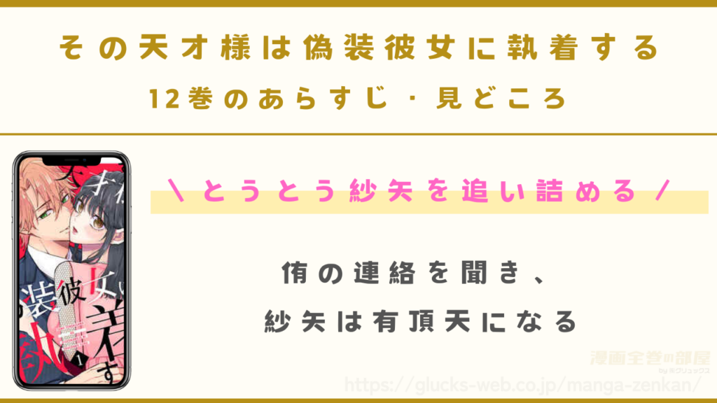 『その天才様は偽装彼女に執着する』12巻のあらすじ・見どころ
