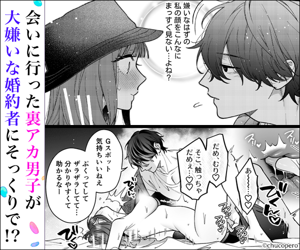会いに行った裏アカ男子が大嫌いな婚約者で詰んだ。