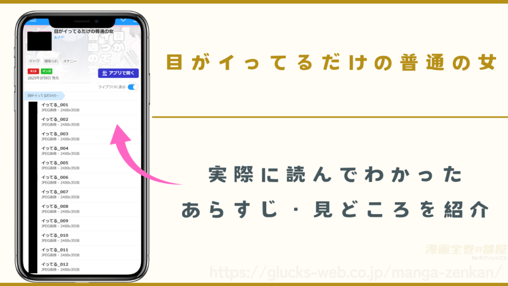 『目がイってるだけの普通の女』のあらすじと見どころ