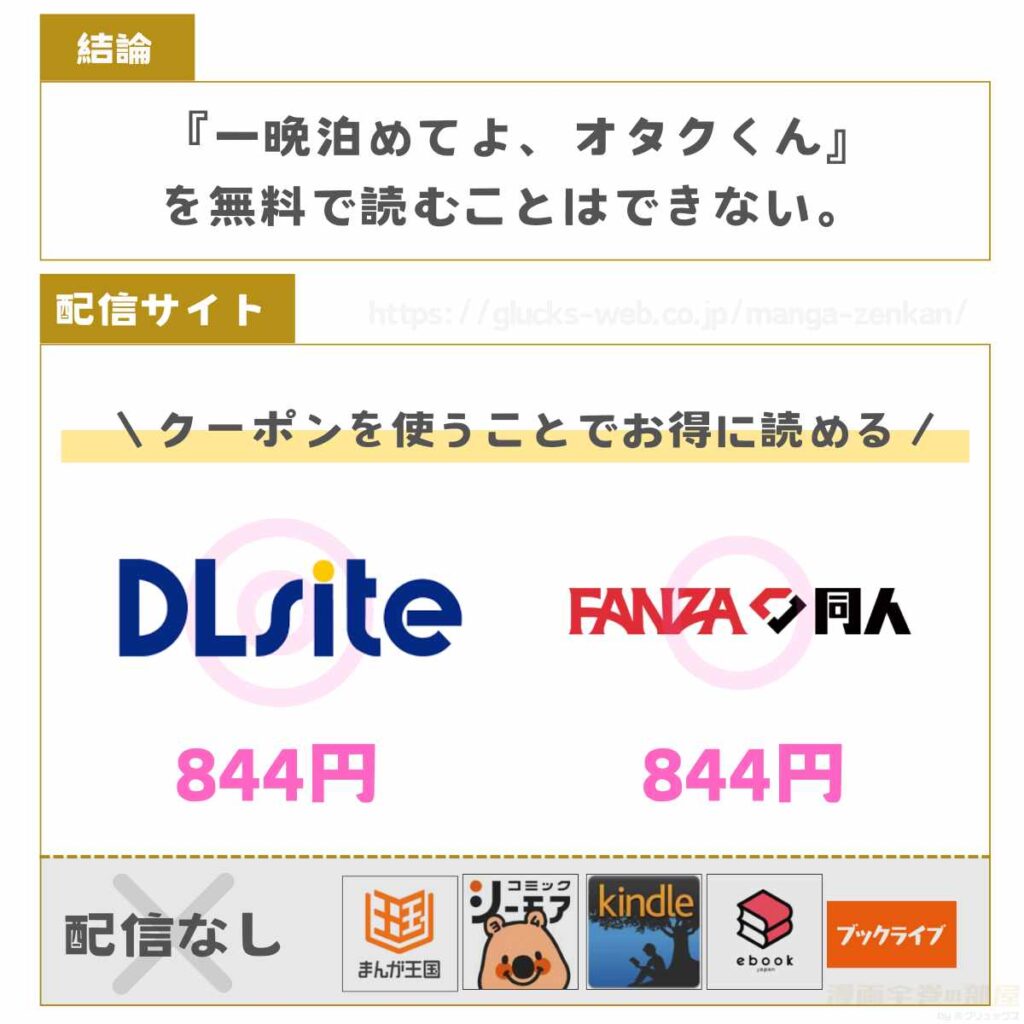 一晩泊めてよ、オタクくん