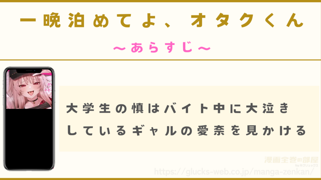 あらすじ|オタクの主人公はギャルを一晩家に泊めることになる