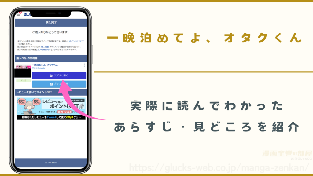 『一晩泊めてよ、オタクくん』を実際に読んでわかったあらすじや見どころ
