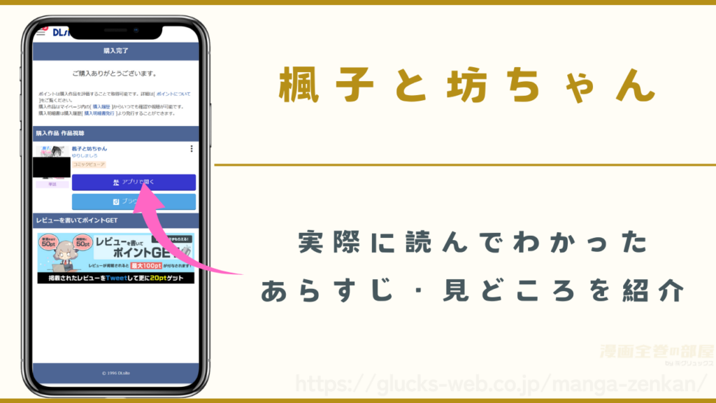『楓子と坊ちゃん』を実際に読んでわかったあらすじや見どころ