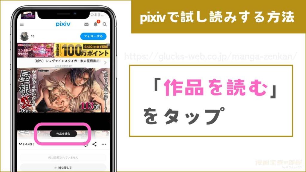pixivで『シュヴァインスタイガー家の屋根裏部屋 上巻』を無料試し読みするまでの流れ3